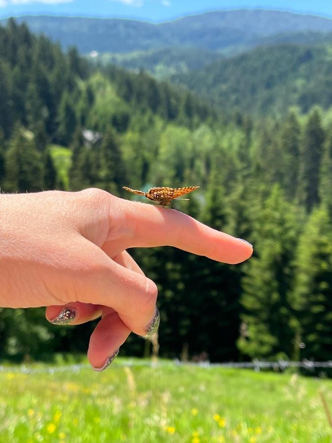 Appartamento Zlatar Reset Nova Varoš Esterno foto